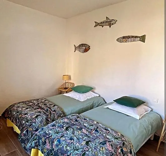 Vue En Plein Centre De * Cargèse